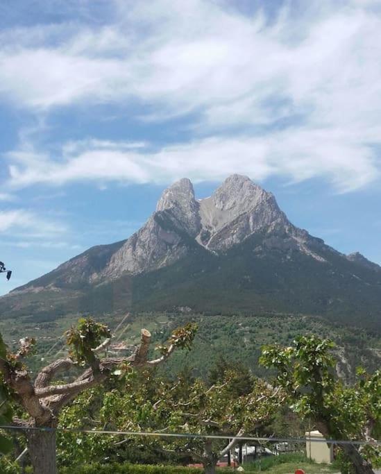 El Niuet De Cal Cacuet, La Teva Escapada Rural. Apartment Avia Bagian luar foto